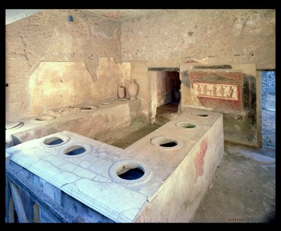 The Counter of the Thermopolium, via dell